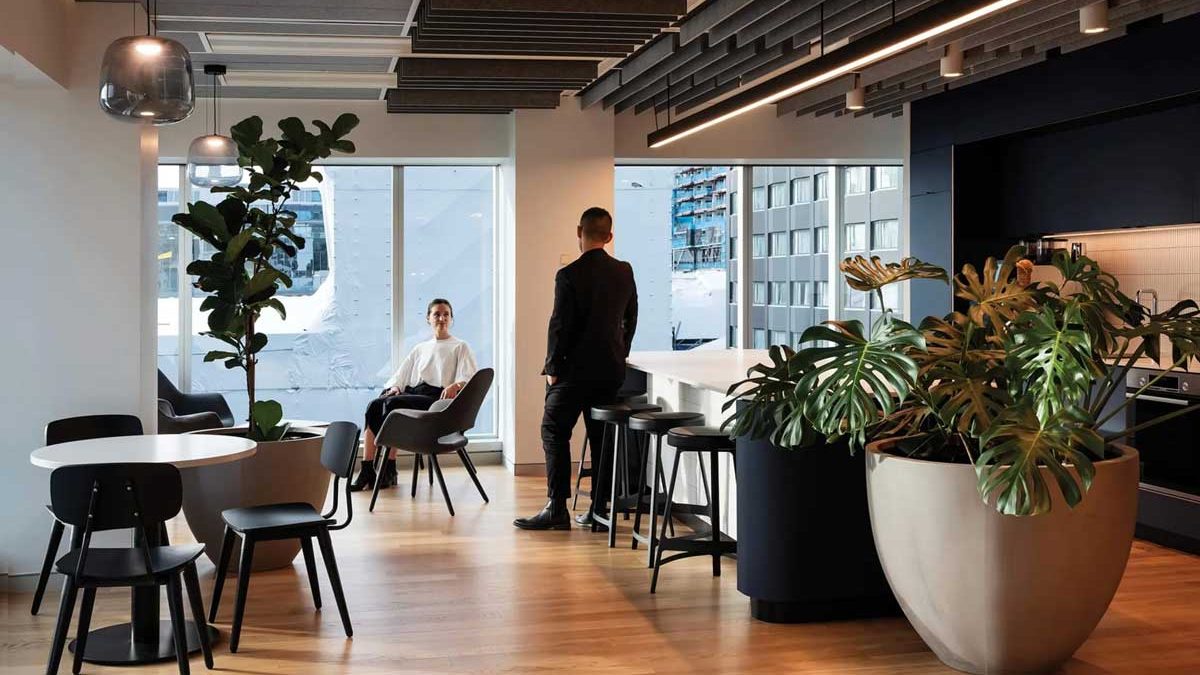 Office Fitouts